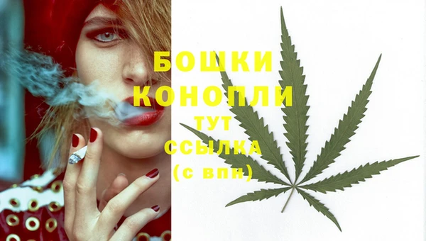дживик Покачи