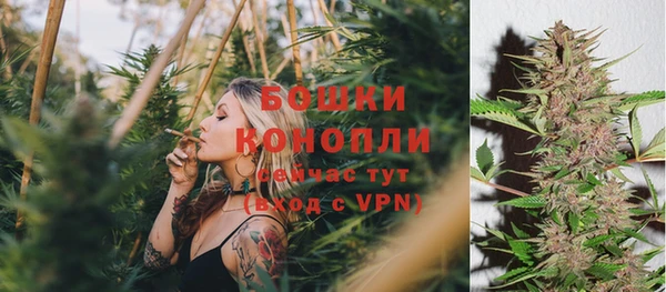 дживик Покачи