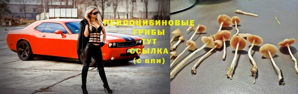 spice Покровск