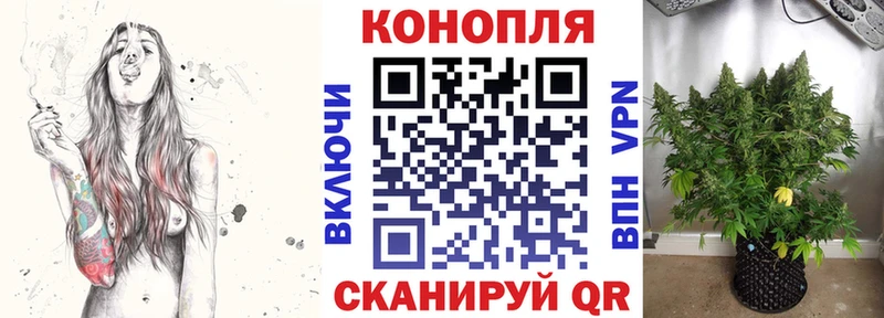 MEGA зеркало  Анадырь  Бошки Шишки AK-47 